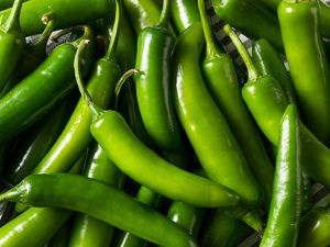Raw green organic serrano peppers